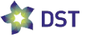 DST Brunei
